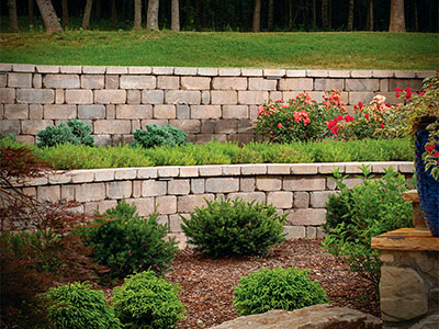 Shelton Wall Shelton Wall